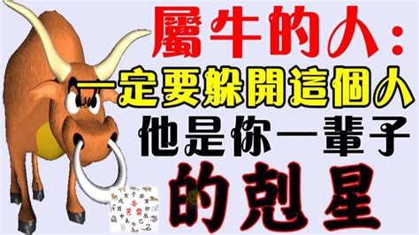 屬牛 戴 金 飾|屬牛的人可以戴黃金嗎？